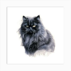 Black Persian Cat Portrait Art Print