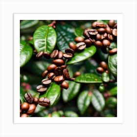 Coffee Beans 22 Art Print