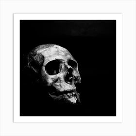 Human Skull Isolated On Black Background Art Print