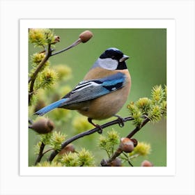 Tit on branch 51 Art Print