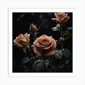 Roses In The Rain 1 Art Print