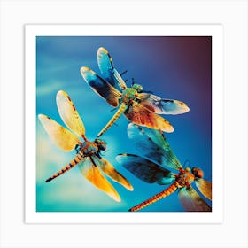 Dragonflies In Flight Art Print