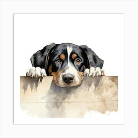 Bernese Mountain Dog 10 Art Print