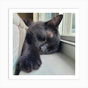 Cat Sleeping On A Window Sill Art Print