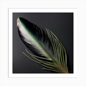 Black And White Feather Art Print