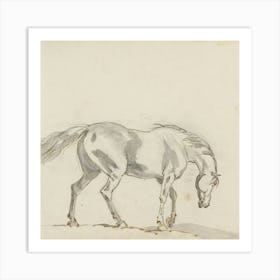 Horse Galloping 5 Art Print