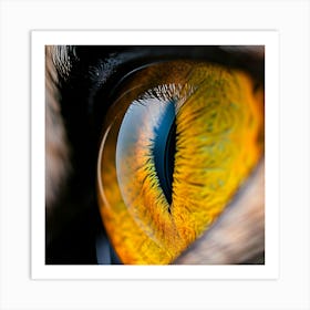 Eye Of A Cat Art Print