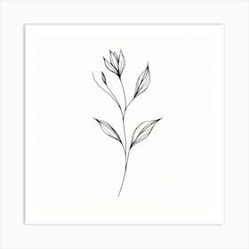 Line Drawing Of A Flower Art Print