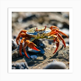 Crab On The Beach 1 Art Print