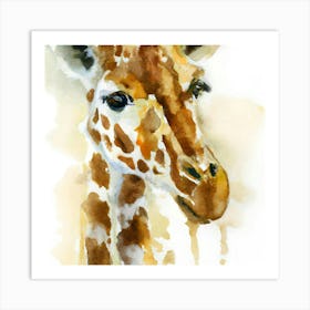 Animals 01 Art Print