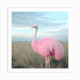 Pink Ostrich Of The Plains Art Print