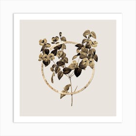 Gold Ring Platilobium Glitter Botanical Illustration Art Print