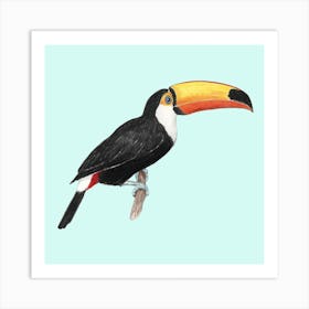 Toco Toucan Bird Square Art Print