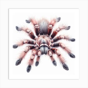 Tarantula 3 Art Print