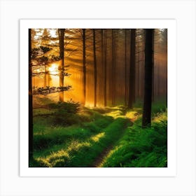 Sunrise In The Forest 33 Art Print