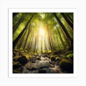 Forest Stream 2 Art Print