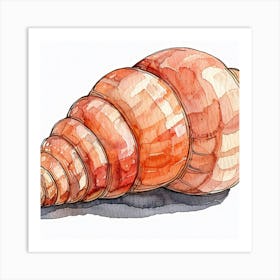 Watercolor Seashell Art Print