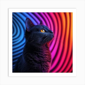 Black Cat On Colorful Background Art Print