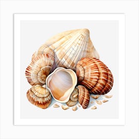 Sea Shells On Black Background Art Print