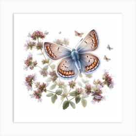 Butterfly of Thymelicus sylvestris 3 Art Print