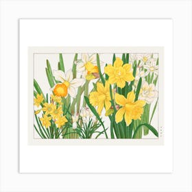 Daffodils Art Print