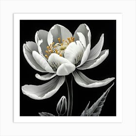 White Peony Art Print