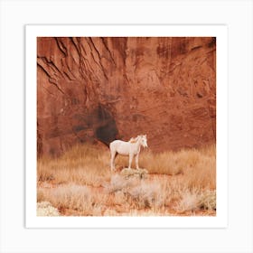 Desert Horse Art Print