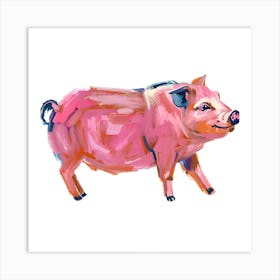 Hampshire Pig 04 Art Print