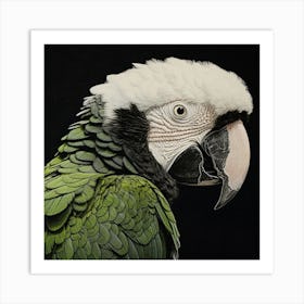 Ohara Koson Inspired Bird Painting Macaw 2 Square Art Print