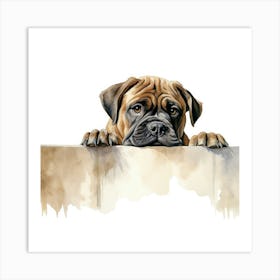 Boxer Dog 16 Art Print