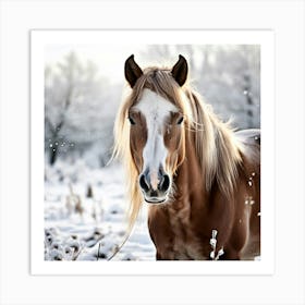 Horse Hair Pony Animal Mane Head Canino Isolated Pasture Beauty Fauna Season Farm Photo (1) Art Print