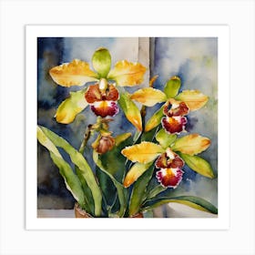 Catasetum Orchids Water Colour 2 Art Print