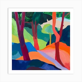 Colourful Abstract Muir Woods National Park Usa 2 Art Print