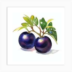 Jaboticaba Art Print