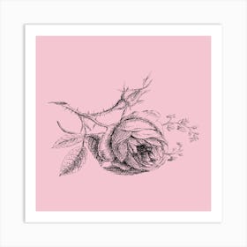 Roses On A Pink Background Art Print