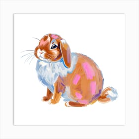 Holland Lop Rabbit 04 1 Art Print