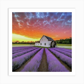 Lavender Field At Sunset Art Print