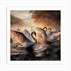 Swans In The Water Art Print