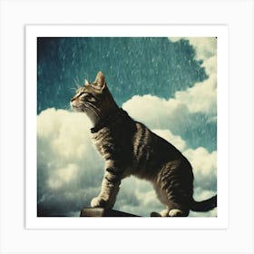 Cat In The Rain Art Print