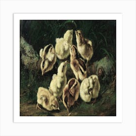 Chicks Art Print