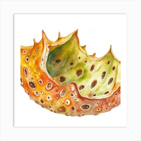 Seashell 1 Art Print