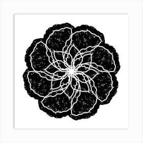 Black And White Flower 5 Art Print