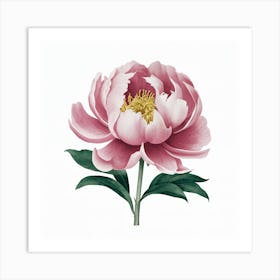 Pink Peony Art Print