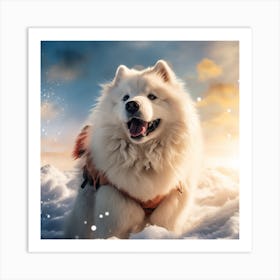 Samoyed Art Print