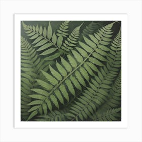 Fern Leaves Funa Plants 1 Art Print