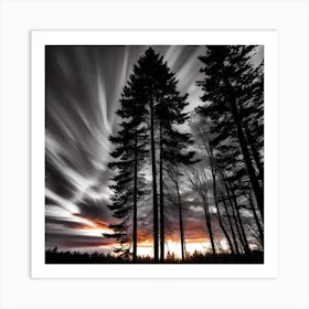 Sunset In The Forest 4 Art Print