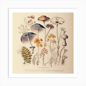 Botanical Sketch Nature Mushrooms Funghi Journal Art Print