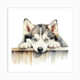 Siberian Husky 1 Art Print