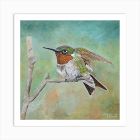 Perched In Place Square Art Print