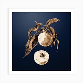 Gold Botanical Peach on Midnight Navy n.2503 Art Print